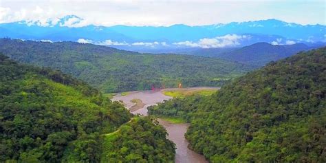 selva peruana historia ubicacion relieve flora  fauna