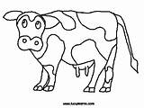 Cow Coloring Pages Cows Color Moo Clack Click Gif Type Kids Fil Chick Cliparts Print Google Clipart Drawing Animal Pic sketch template