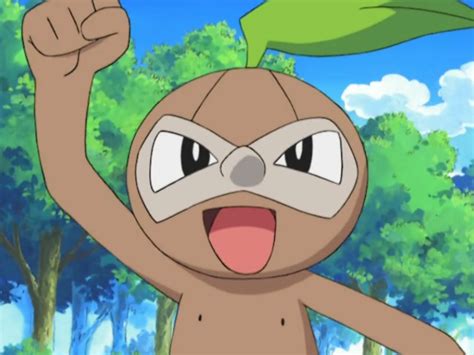 25 Fun And Fascinating Facts About Nuzleaf From Pokemon Tons Of Facts