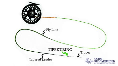 fly fishing tippet ring    set   guide recommended
