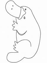 Aboriginal Platypus Coloringpagebook Frogs Wombat Dyr Sote Tegne Hvordan sketch template