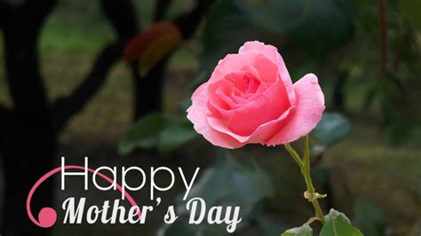 happy mother s day animated card youtube