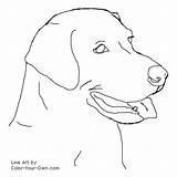 Labrador Coloring Pages Lab Drawing Dog Retriever Line Color Headstudy Drawings Easy Labs Puppies Dogs Golden Draw Puppy Colouring Own sketch template