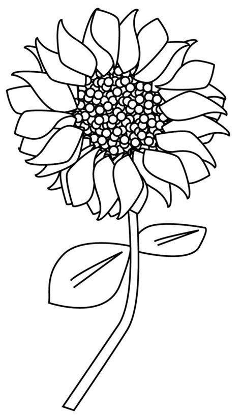 view source image sunflower coloring pages flower drawing coloring