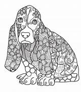 Mandalas Hunde Perros Ausmalen Hund Bernese Colorish Ausmalbild Ausdrucken Dackel Malvorlage Getcolorings Malvorlagen Coloreadas Tiernos sketch template