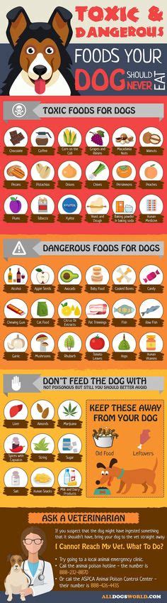toxic foods  dogs list dangerous foods  dogs
