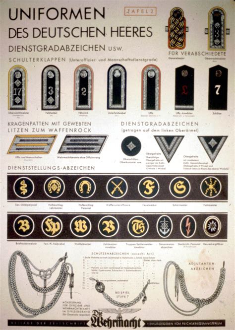 A Uniform Chart With Depictions Of Epaulets Badges And