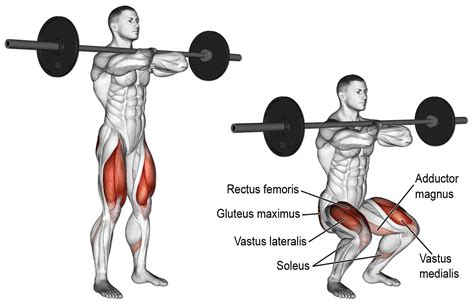 front squats  essential  powerful quad activation gymguider