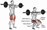 Squat Exercise Squats Barbell Musculation Quadriceps Sentadillas Exercice Quad Dumbbell Vastus Lateralis Frontales Jambes Barre Músculos Quads Programme Implicados Activation sketch template