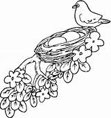 Nest Drawing Birds Bird Coloring Pages Getdrawings sketch template
