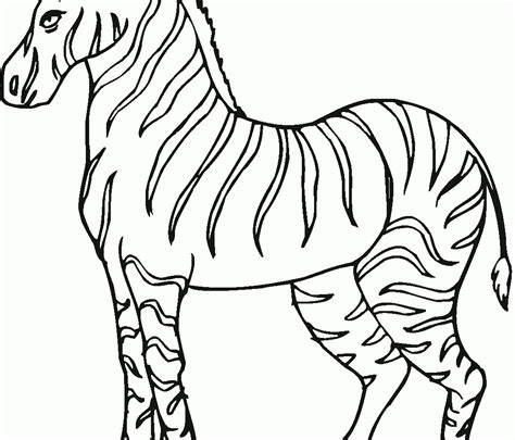 zebra print drawing  getdrawings