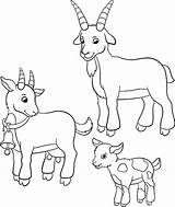 Goat Cute Vector Clip Illustrations Coloring Family Similar sketch template