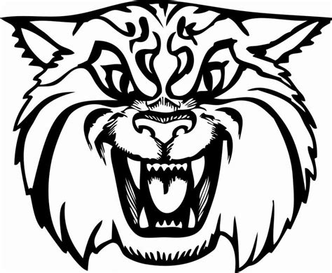 befunky  jpg  wild cat coloring page coloring home