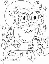Coloring Owl Pages Kids Preschool Printable Outline Summer Drawing Sheets Colouring Color Cute Frozen Kid Preschoolers Clipart Owls Opossum Bird sketch template