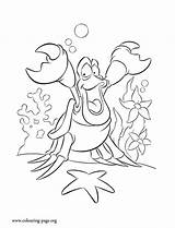 Coloring Mermaid Pages Little Sebastian Crab Disney Ariel Colouring Sketch Arielle Descendants Mal Ausmalbilder Kids Para Colorear Color Character Cartoonbucket sketch template