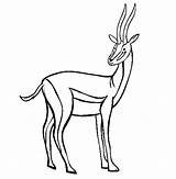 Colorat Animale Antilopa Desene Gazelle Antelope Antilope Salbatice Fise Planse Lucru Munte Capra Gradinita Cai Pintarcolorir Copii Educative Caprioara Ursi sketch template