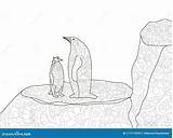 Coloring Penguin Antarctica Stress Anti Child Vector Adults Clipart Preview sketch template
