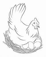 Chicken Coloring Pages Print Kids Printable Adults Flapping Lovers Worksheets sketch template