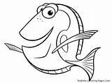Fish Coloring Pages Realistic Funny sketch template