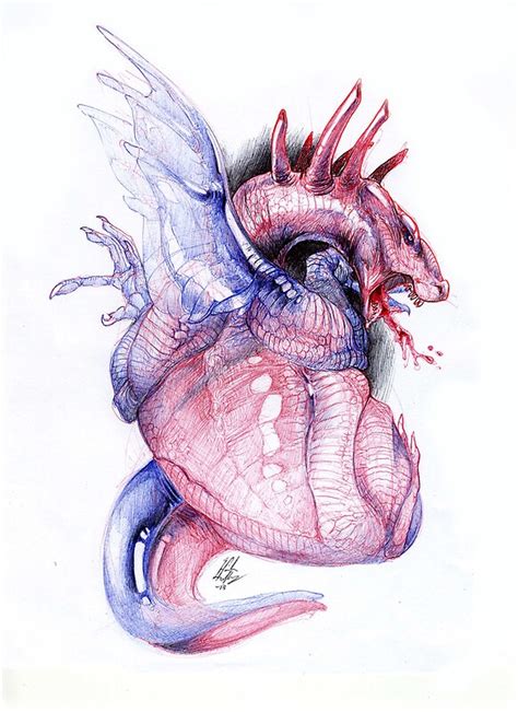 dragon heart  morphology redbubble