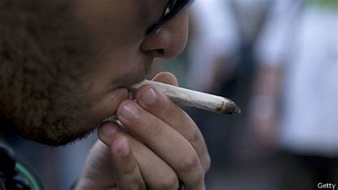 ¿cómo y quiénes podrán comprar marihuana en uruguay bbc news mundo