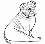 Coloring Dog Pages Template Bulldog English Mastiff Templates Printable Animal Colouring Color American Shape Print Getdrawings Printables Getcolorings Choose Board sketch template