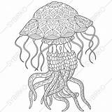 Jellyfish Coloring Pages Zentangle Stylized Adult Drawn Hand Stock Illustration Visit Doodle sketch template
