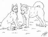 Husky Huskies Siberian Lineart Kolorowanki Canis Simensis Drukuj Pobierz sketch template