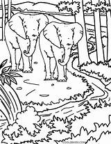Printable Mewarnai Naturaleza Malvorlagen Cool2bkids Ausmalbilder Pemandangan Kindergarten Hutan Marimewarnai sketch template