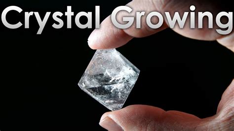 grow transparent single crystals  alum salt  home youtube