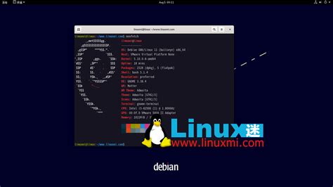 debian  busterdebian bullseye linux linux