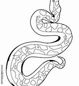 Rattlesnake Drawing Coloring Diamondback Pages Snake Viper Getcolorings Kids Printable Paintingvalley sketch template