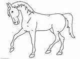 Sketsa Hewan Berkaki Mewarnai Empat Kuda Colorir Kartun Desenhos Shets Cavalo Kumpulan sketch template
