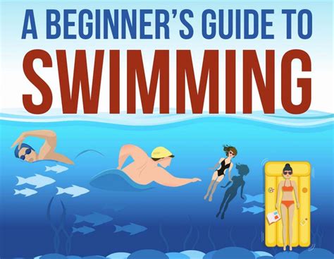 beginners guide  swimming lessons   baby adults infographic