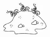 Ant Anthill Mrowisko Budują Mrówki Ants Owady Kolorowanki Kolorowanka Druku sketch template