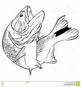 Jumping Fish Tarpon Drawing Getdrawings sketch template