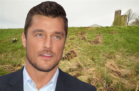‘the Bachelors Chris Soules Fatal Hit And Run Trial Delayed