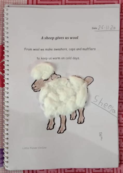 sheep   wool  flower kindergarten facebook