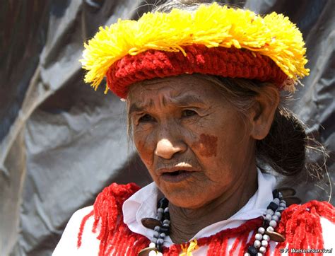 Guarani People Brazilian Tribal Leader Fronts Global Protests For