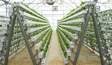 build  hydroponic greenhouse mycoffeepotorg