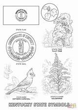 Kentucky Coloring Pages State Symbols Printable Flag Printables Derby Kids Alabama Bird California Flower Getdrawings Drawing Ss Sheet Color Popular sketch template