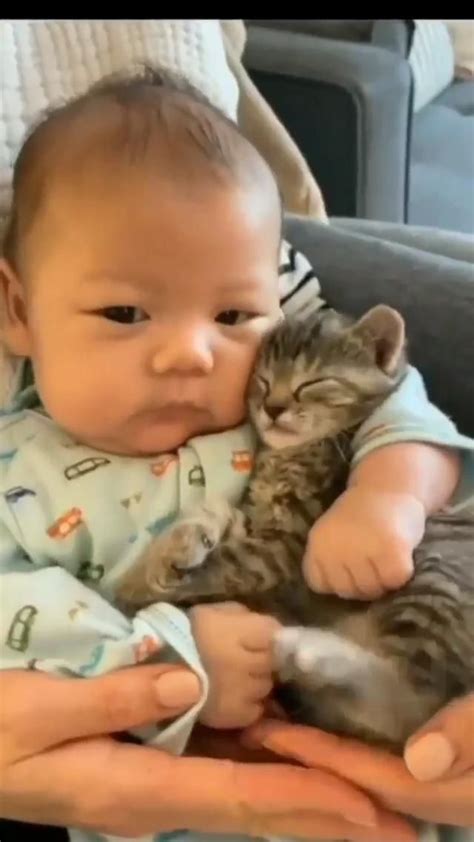 cozy baby hugs     immersive guide  petsnurturing