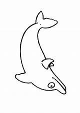 Kleurplaten Dolfijn Dolfijnen Kleurplaat Delfine Malvorlagen Dieren Delphin Mewarnai Lumba Delfini Animasi Colorat Printen Animierte Bergerak Animaatjes Planse Delfino Delphine sketch template