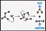 Baking Reaction Soda Mechanism Sodium Bicarbonate Powder sketch template