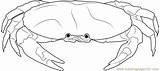 Crabs Coloringpages101 sketch template