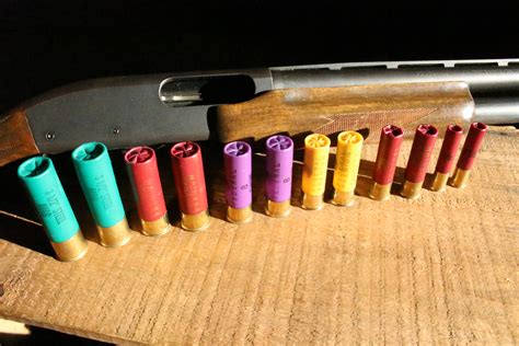 shotgun shells explainedthe  shooters dictionary