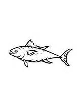 Tuna Fish Coloring Yellowfin Cute sketch template