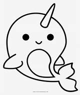 Narwhal Whisk Clipartkey Pinclipart Pngfind sketch template