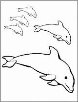 Coloring Pages Dolphin Printable Dolphins Kids Pink Porpoise Print Baby Getcolorings Color Fun Realistic sketch template