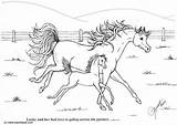 Coloring Pages Foal Mare Horses Horse Kids Foals Printable Print Large sketch template